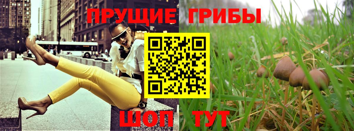 Пугачёв  Псилоцибиновые грибы Psilocybe  Псилоцибиновые грибы Psilocybine cubensis  Вход с VPN 