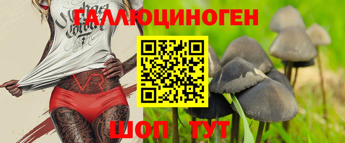 Псилоцибиновые грибы GOLDEN TEACHER Пугачёв